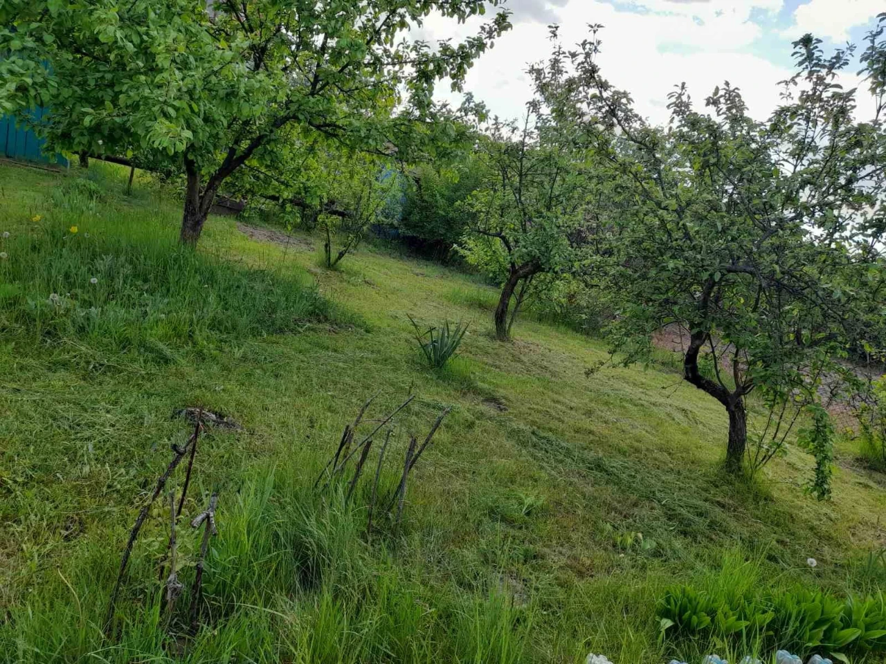 Country house for sale in Berezantse