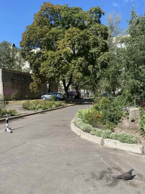 For Sale: 2-bedroom apartment in Kyiv, Darnytsky district, Street