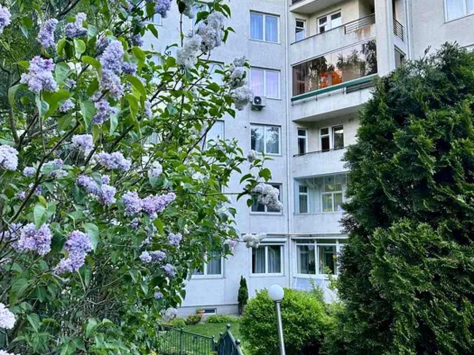 Apartment. Alexander Olesya st., Lviv