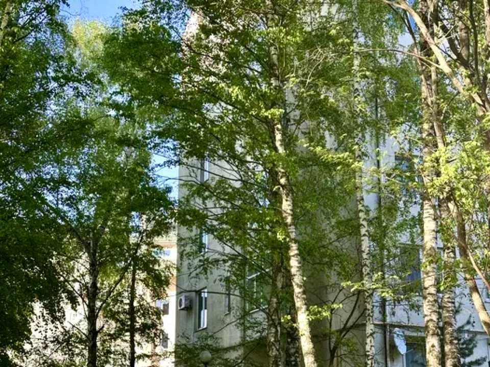 Apartment. Alexander Olesya st., Lviv