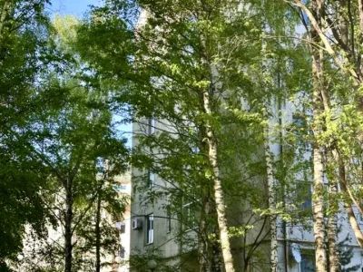 Apartment. Alexander Olesya st., Lviv