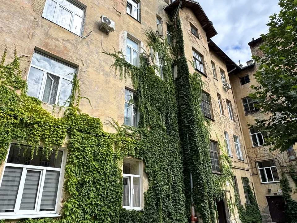 Apartment. Lviv, Horodocka St.