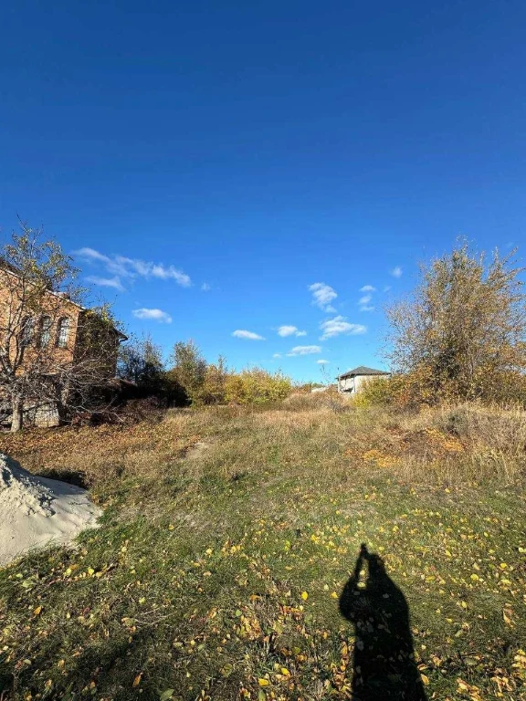 Land near Borodino