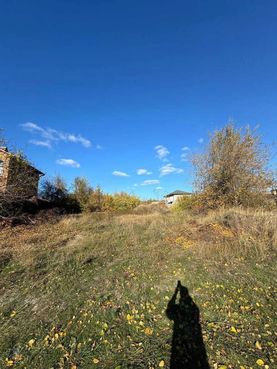 Land near Borodino