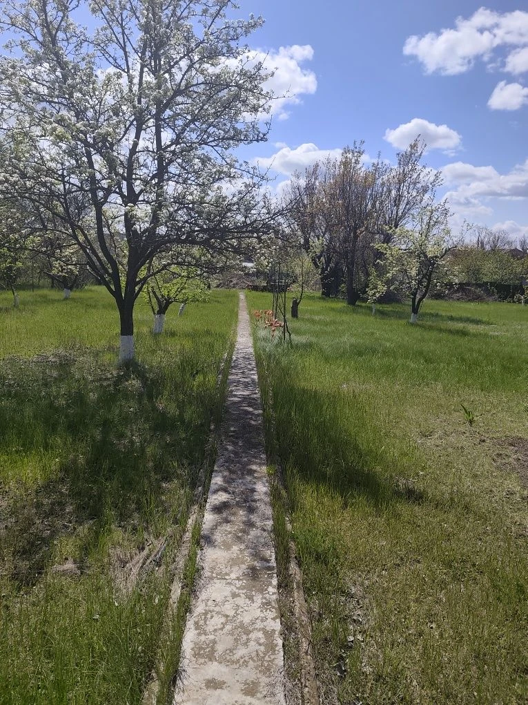 Продаю дачний участок з літнім домиком
