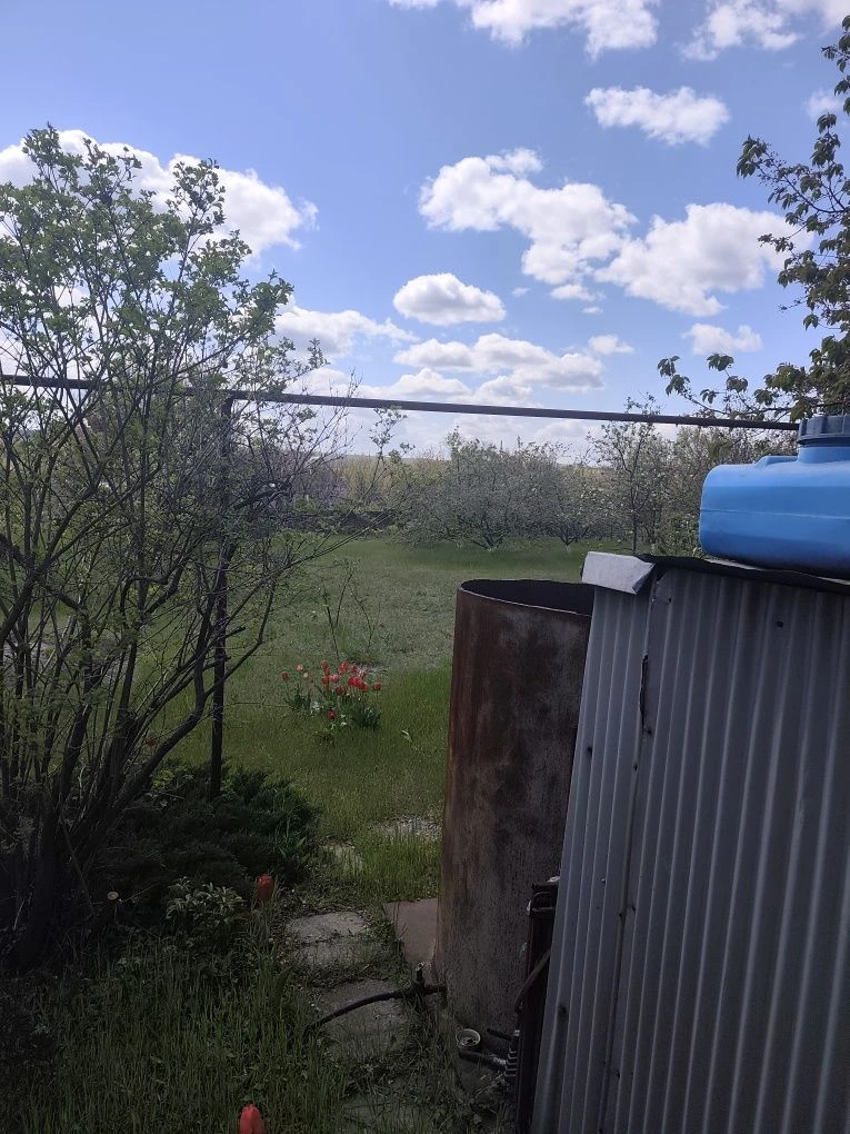 Продаю дачний участок з літнім домиком