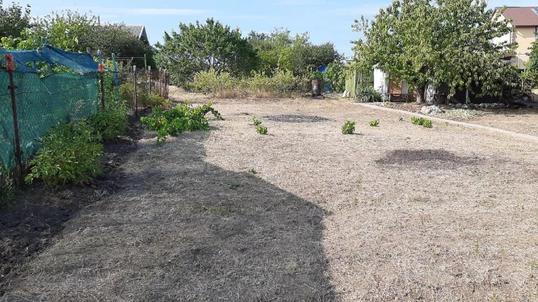 For Sale: Residential Plot