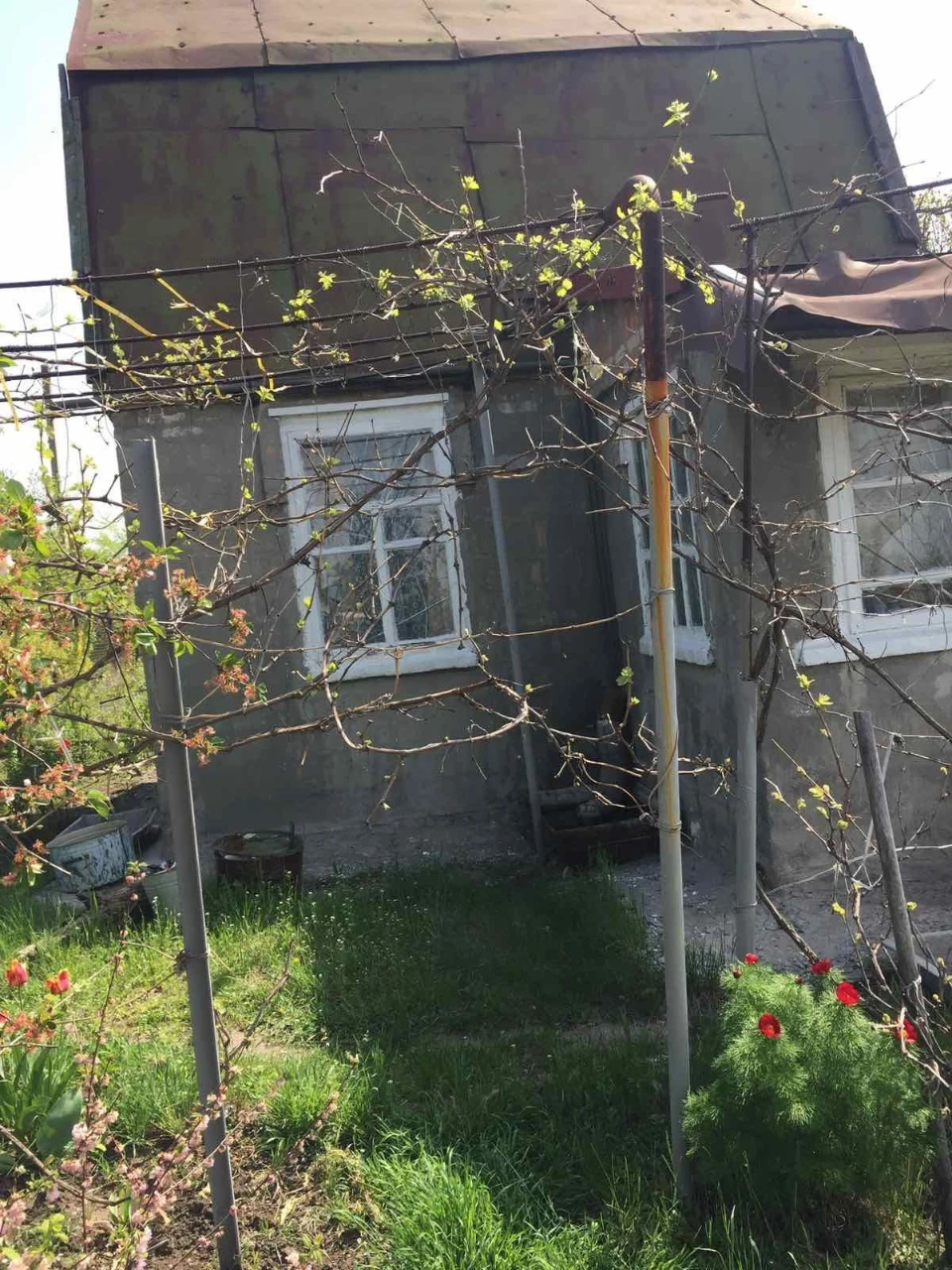 For Sale: Country Plot