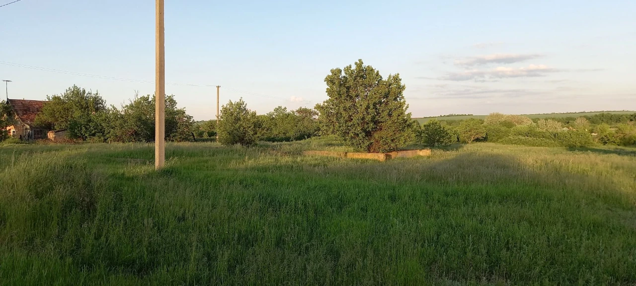 Land for sale in Tomakivka, under construction (Street Sadova)