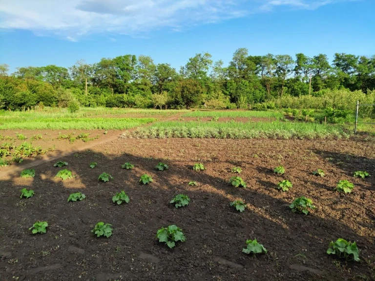 Land plot for development, Zaporizhye