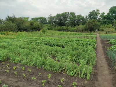 Land plot for development, Zaporizhye