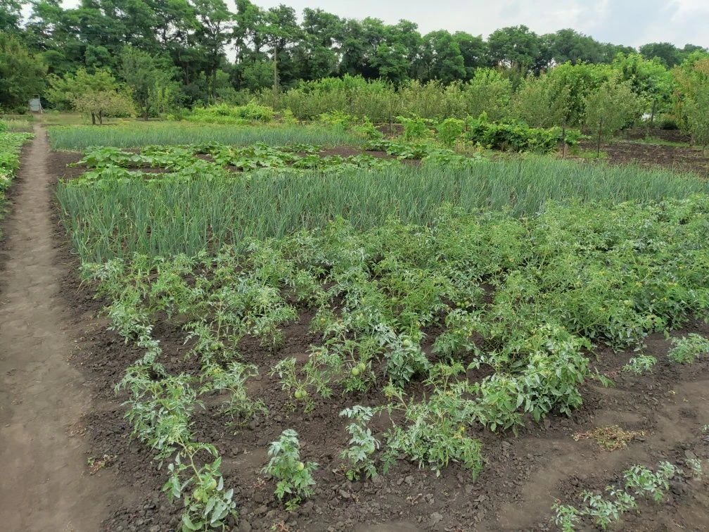 Land plot for development, Zaporizhye