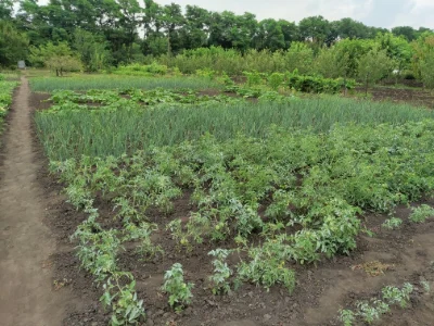 Land plot for development, Zaporizhye