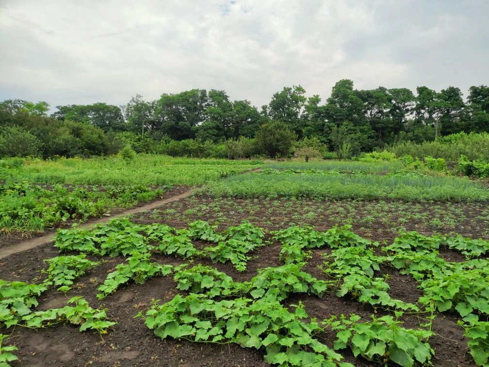 Land plot for development, Zaporizhye