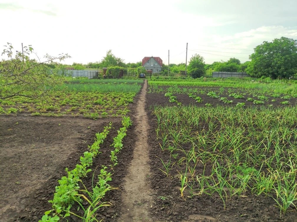 Land plot for development, Zaporizhye