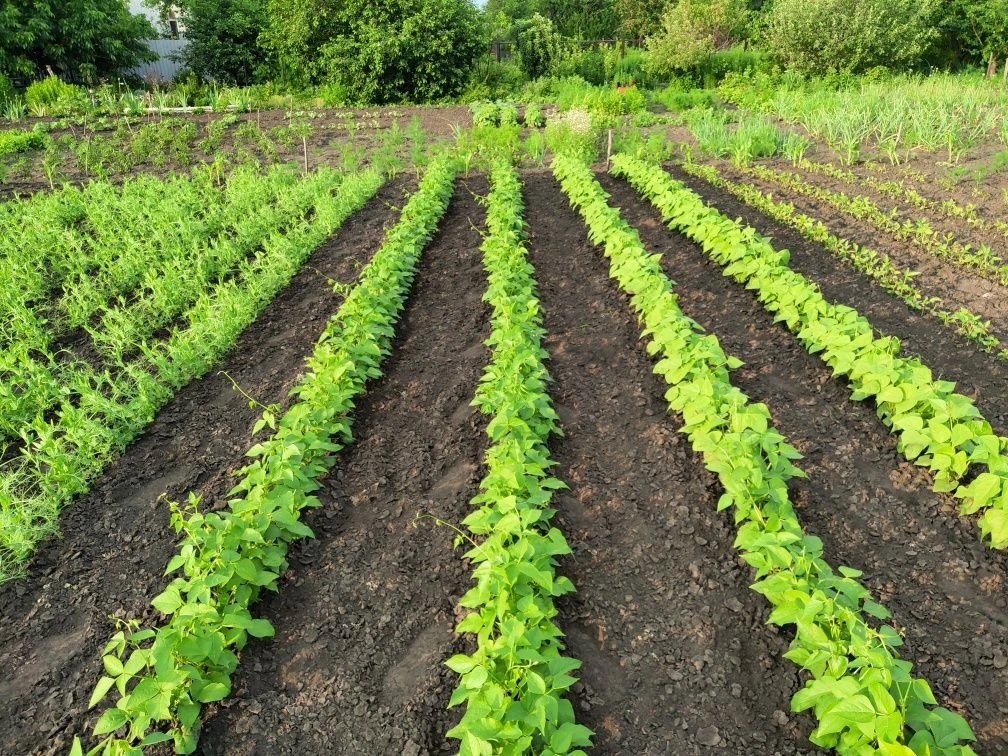 Land plot for development, Zaporizhye