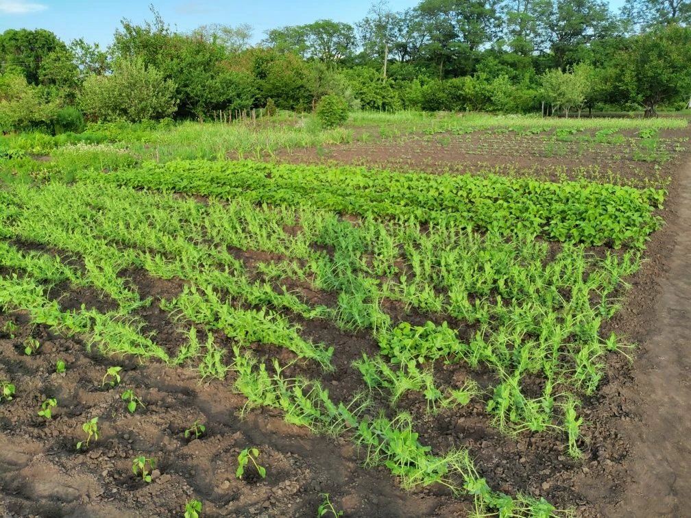 Land plot for development, Zaporizhye