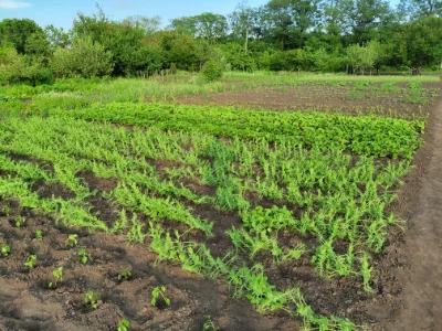 Land plot for development, Zaporizhye