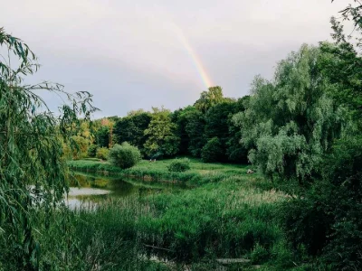Квартира. Київ, Криворізька вул.