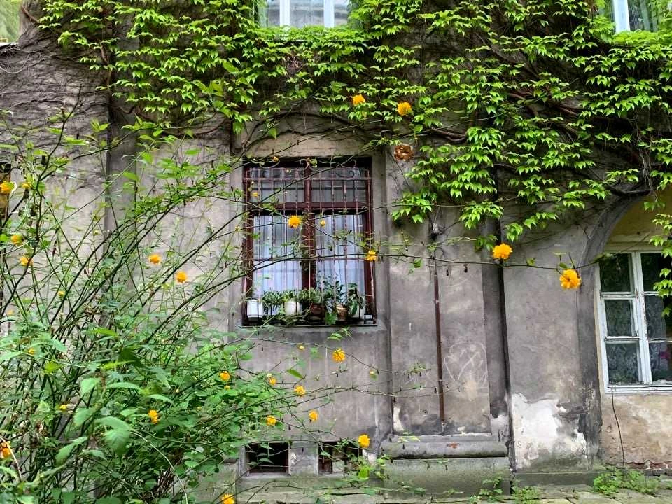 Квартира. Львів, Костя Левицького проспект