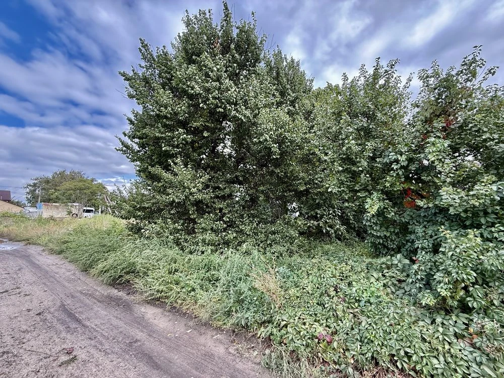 Land for Sale: Stolarna, Karakum, Northern Shevche