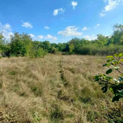 Land for sale in the "Agrarnik" residential complex