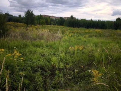 Land. Kyiv, Kryyna Street