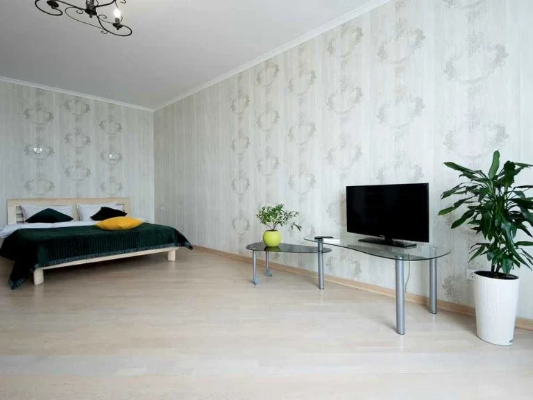 Apartment. Elizaveta Chvydar Street, Kyiv