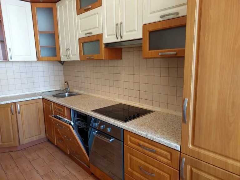 Apartment. Staronovodnitska St.