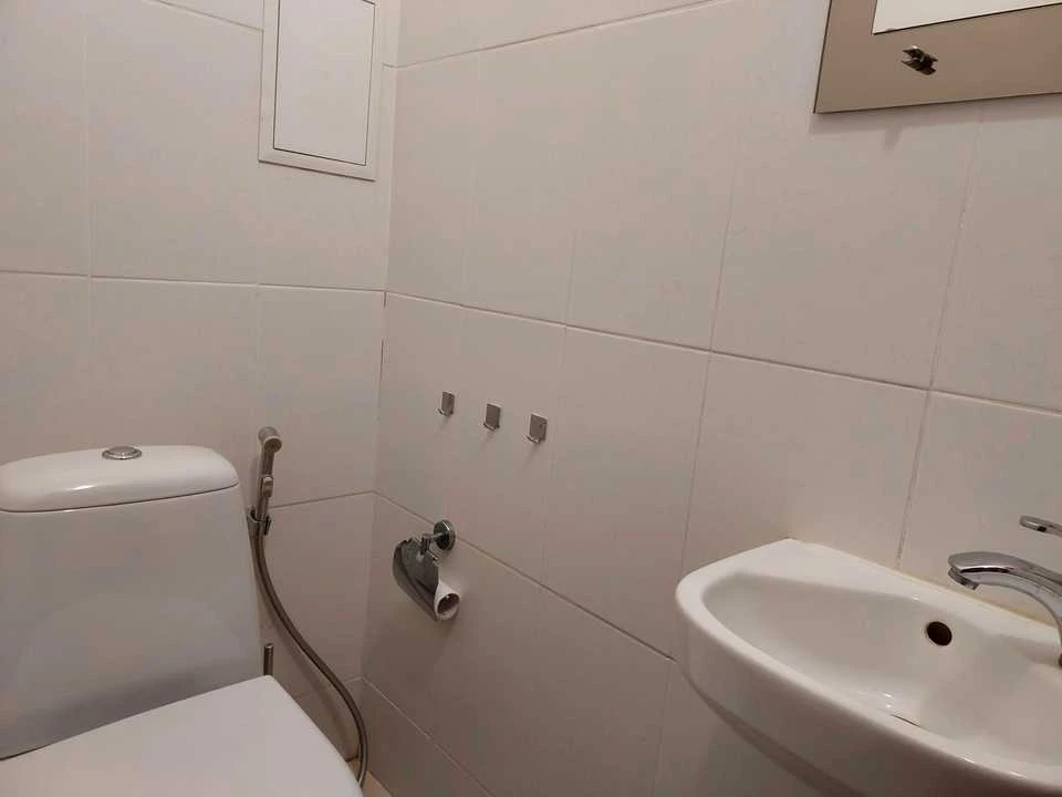 Apartment. Staronovodnitska St.