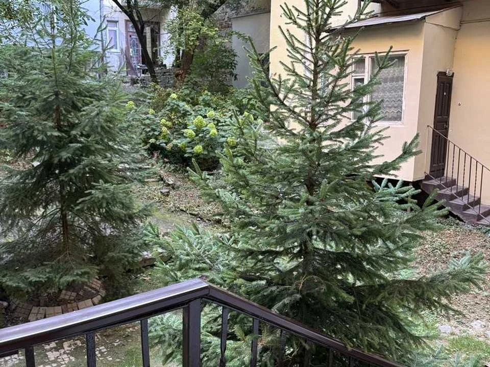 Квартира. Львів, вулиця Івана Франка