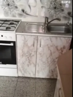 Long-Term Rent House Amur