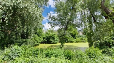 For Sale: House. Flat plot, Chernozems, fruit trees, grapes