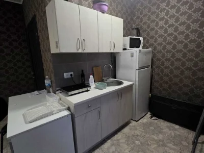Apartment. Kyiv, Kam'yanska Street