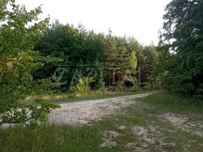 Land. Kyiv