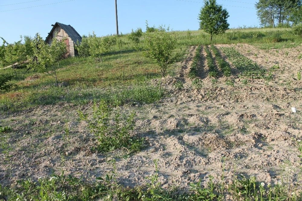 Land for sale