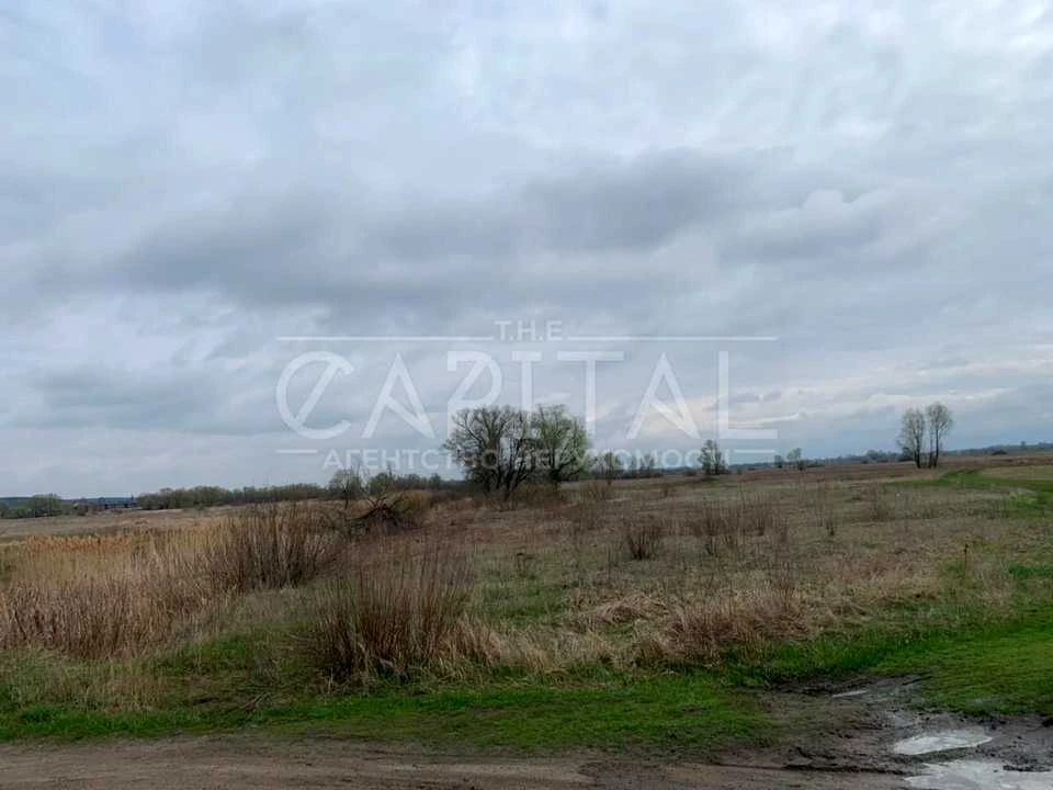Land. Kyiv