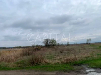 Land. Kyiv