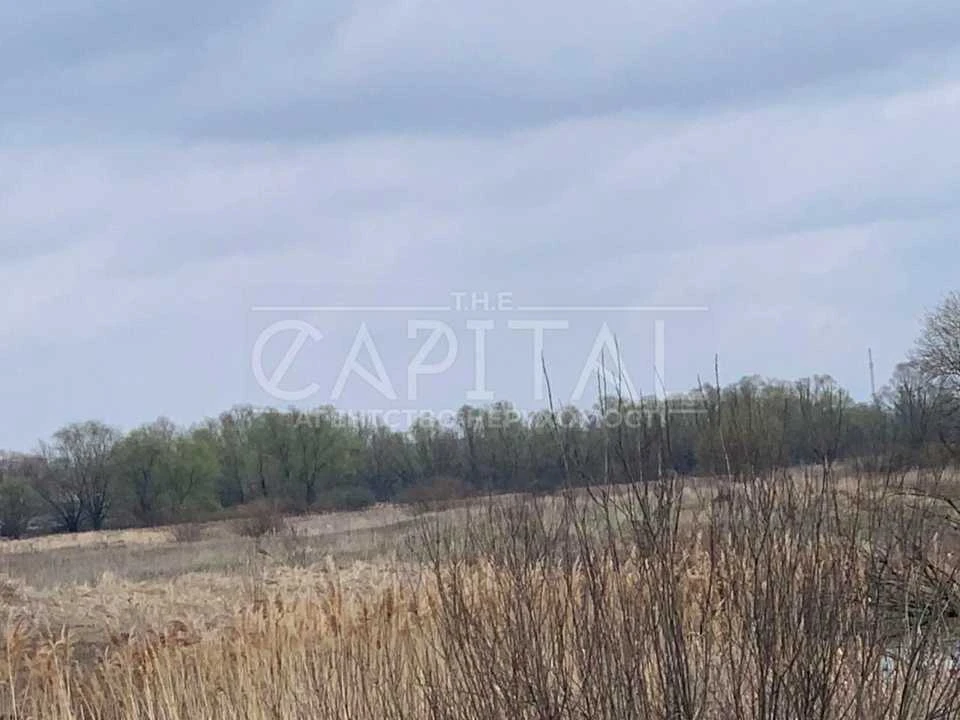 Land. Kyiv