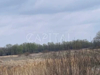 Land. Kyiv