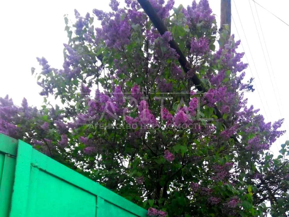 Ділянка. Київ