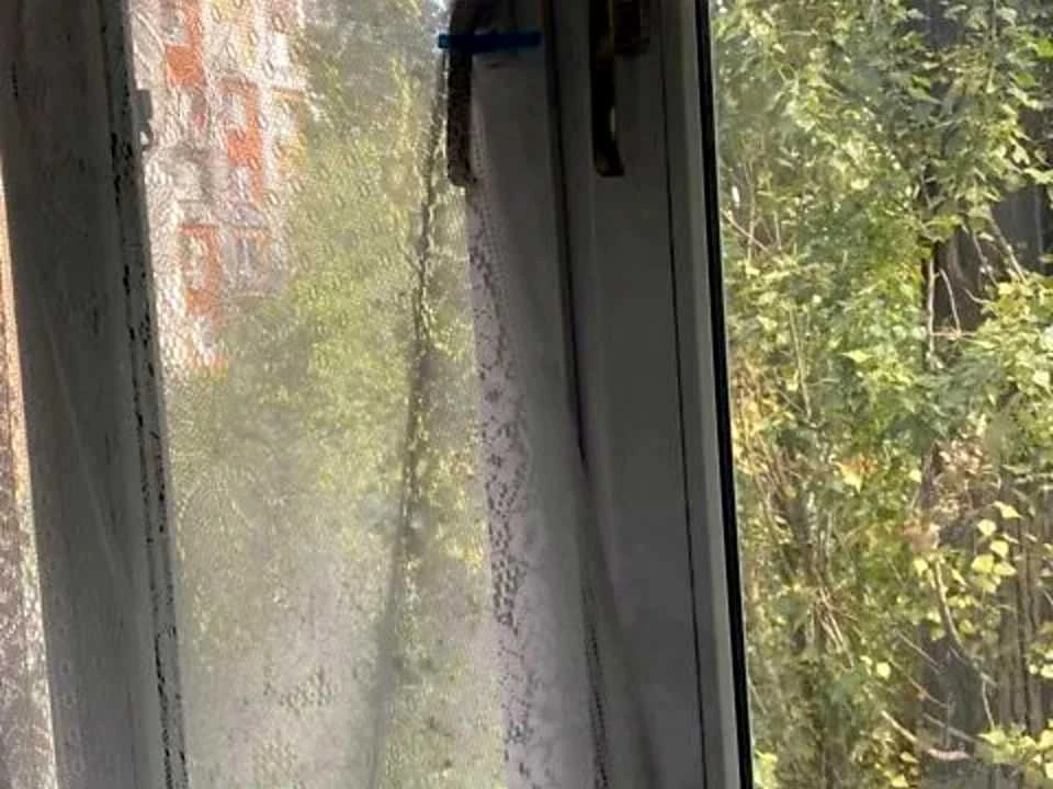 Квартира. Дніпро, Котляревського вулиця