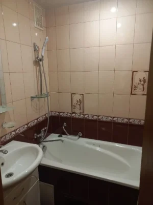 One-bedroom apartment in the center of Peskova 4/9
