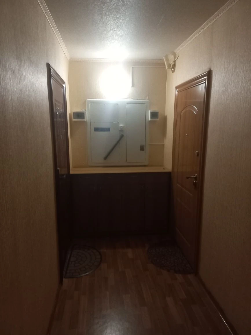 One-bedroom apartment in the center of Peskova 4/9