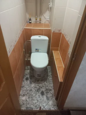 One-bedroom apartment in the center of Peskova 4/9
