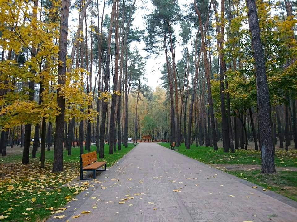 Квартира. Киев, Жмеринская ул.