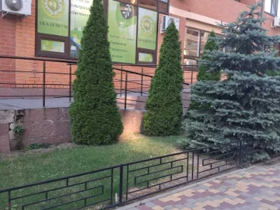 Квартира. Одесса, улица Независимости