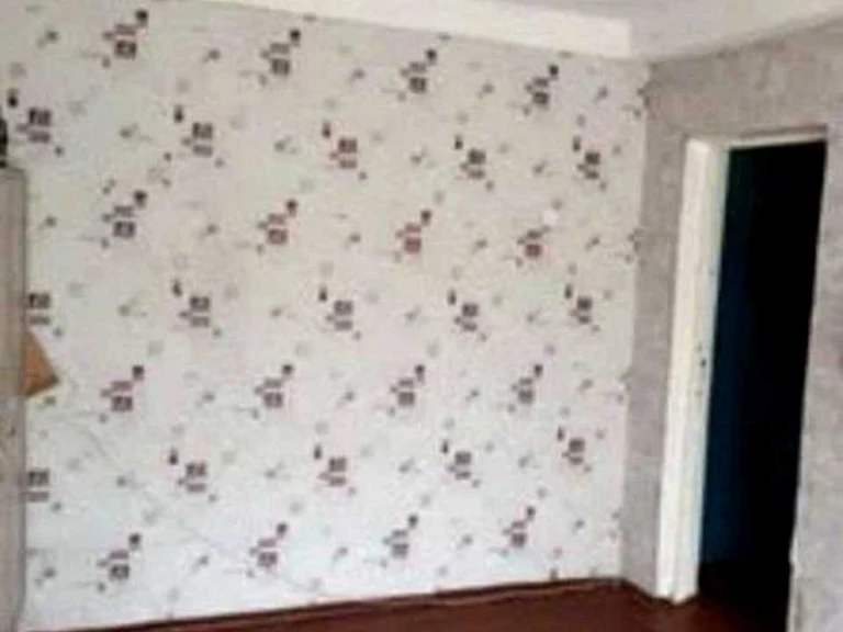 Apartment. Zodykh Street