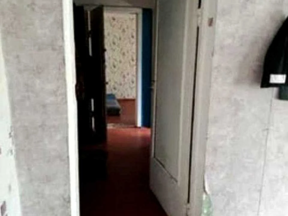 Apartment. Zodykh Street