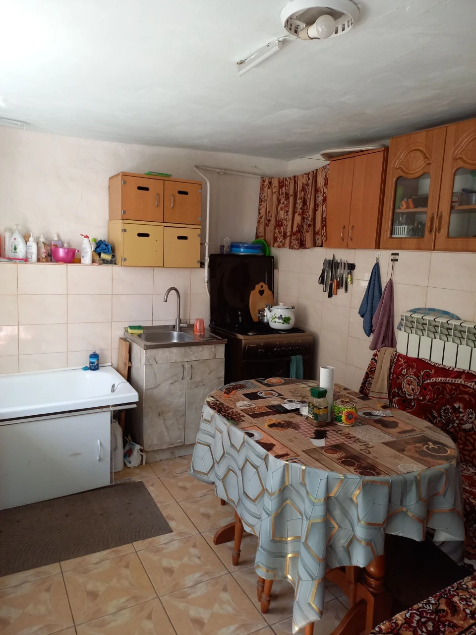 Selling my house in the village of Vinohradivka, Bashtansky district